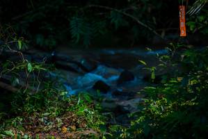 BIB: 
                            <button type="button" onclick="openModal(19306150)" class="btn btn-primary btn-sm float-right btn-popup" data-toggle="modal" data-target=".modal-high-quality">
                        <i class="fas fa-shopping-cart"></i> Add to Cart
                    </button>
                                            <button type="button" onclick="isThisMe(19306150, true)" class="btn btn-success btn-sm float-right btn-popup btn-isme hidden" data-toggle="tooltip" data-placement="bottom" title="นี่คือรูปของคุณใช่ไหม คลิกที่นี่เพื่อเอาเข้าอัลบั้ม">
                        <i class="fas fa-plus"></i> Add to album
                    </button>
                    <button type="button" onclick="isThisMe(19306150, false)" class="btn btn-warning btn-sm float-right btn-popup btn-isnotme hidden">
                        <i class="fas fa-ban"></i> Remove from album
                    </button>